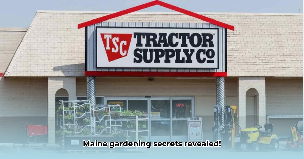tractor-supply-calais-me